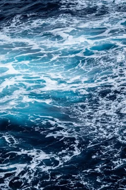 Amoroso Eau De Parfum 100 ml (man)