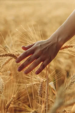 Emmène-Moi Eau De Parfum 100 ml (woman)