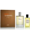 Terre D'Hermès Eau Givrée EDP nachfüllbar 100 ml + SG für Haut und Haar 80 ml (man)